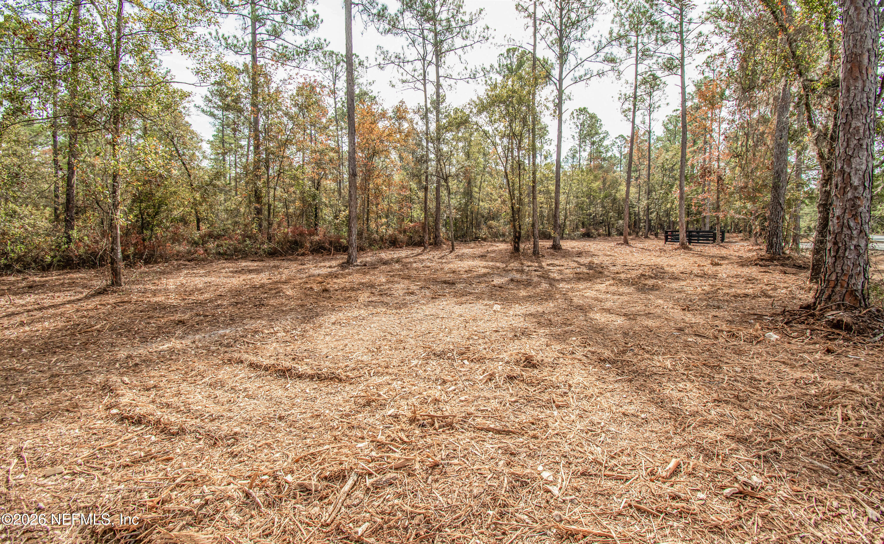 14320 C R 124 Sanderson, FL 32087 - Photo 3 of 5 untitled-6296copy - Copy