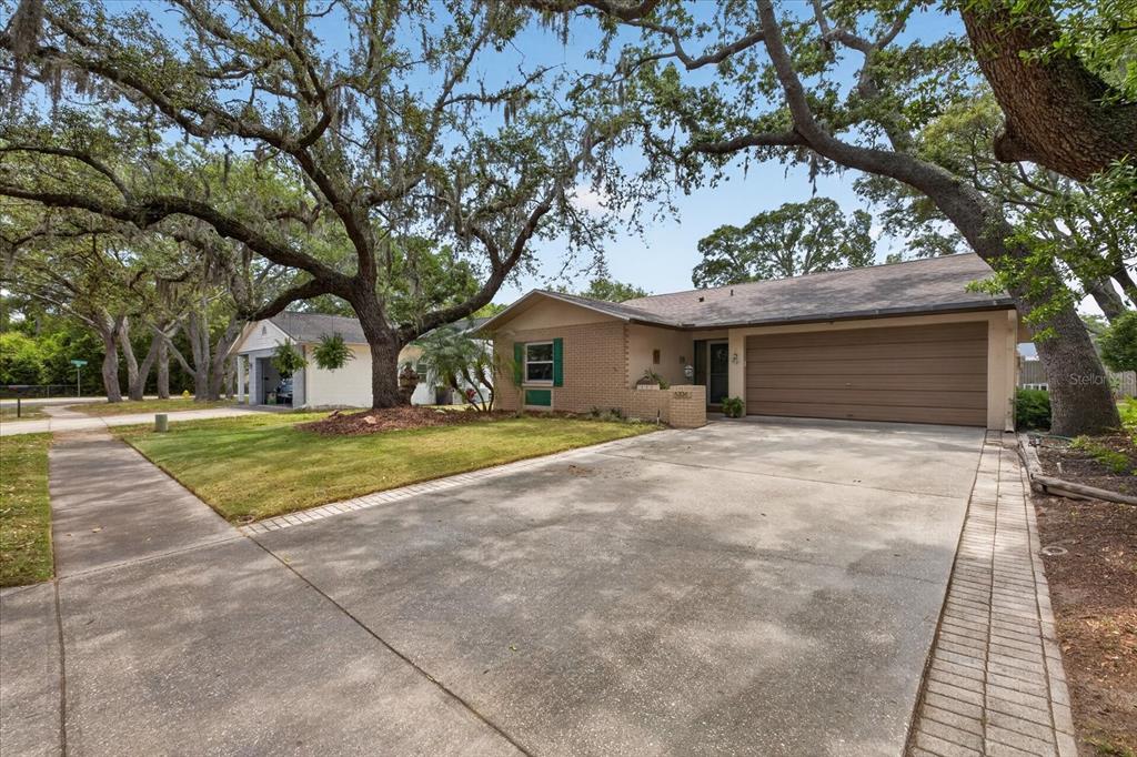 6336 Shane Lane New Port Richey, FL 34653 - Photo 30 of 39