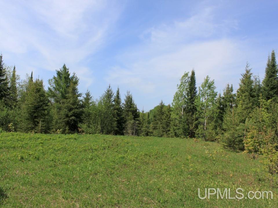 Tbd Emily Lake Road Toivola, MI 49965 - Photo 5 of 36 Gallery Image 5