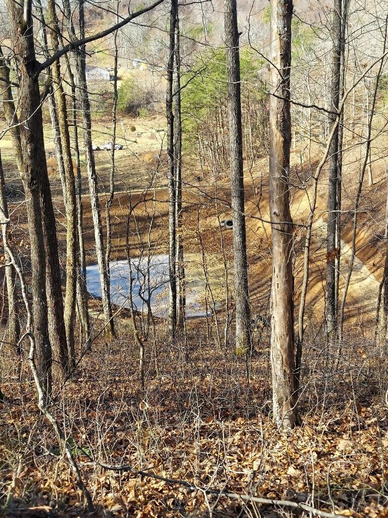 406 Harrod Branch Road London, KY 40741 - Photo 8 of 27 721643C2-2E82-4467-B5FD-1E4B2B7EBA03