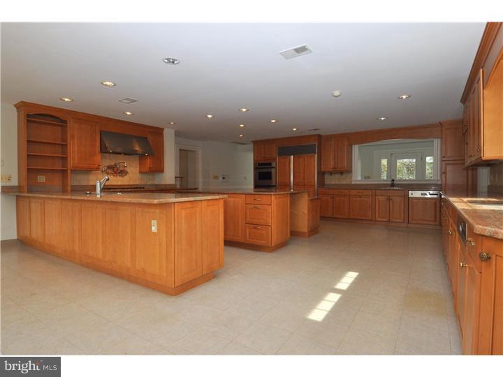 221 Chester Road Devon, PA 19333 - Photo 7 of 12