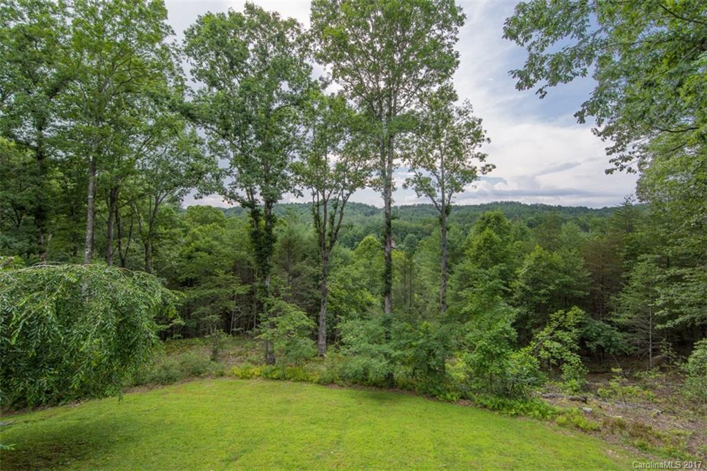400 Chestnut Cove Road, Unit L14 Brevard, NC 28712 - Photo 3 of 20 Gallery Image 3