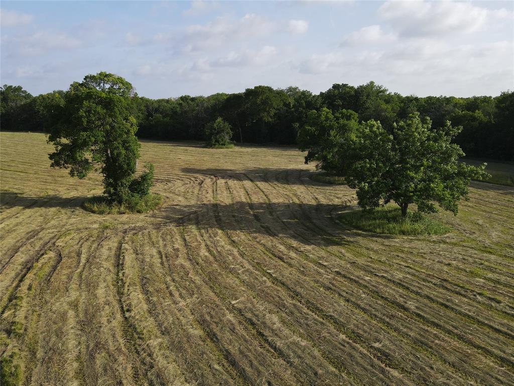 Seven Seven Oaks Road Bonham, TX 75418 - Photo 4 of 21