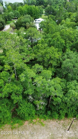 a view of a lush green forest