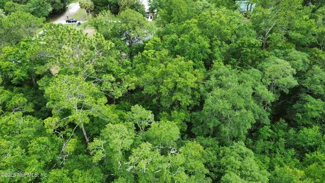 a view of a lush green forest