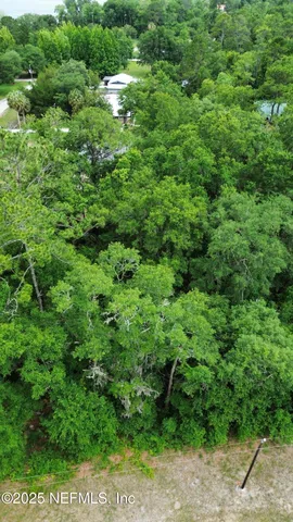 a view of a lush green forest
