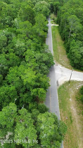 a view of a pathway both side of yard