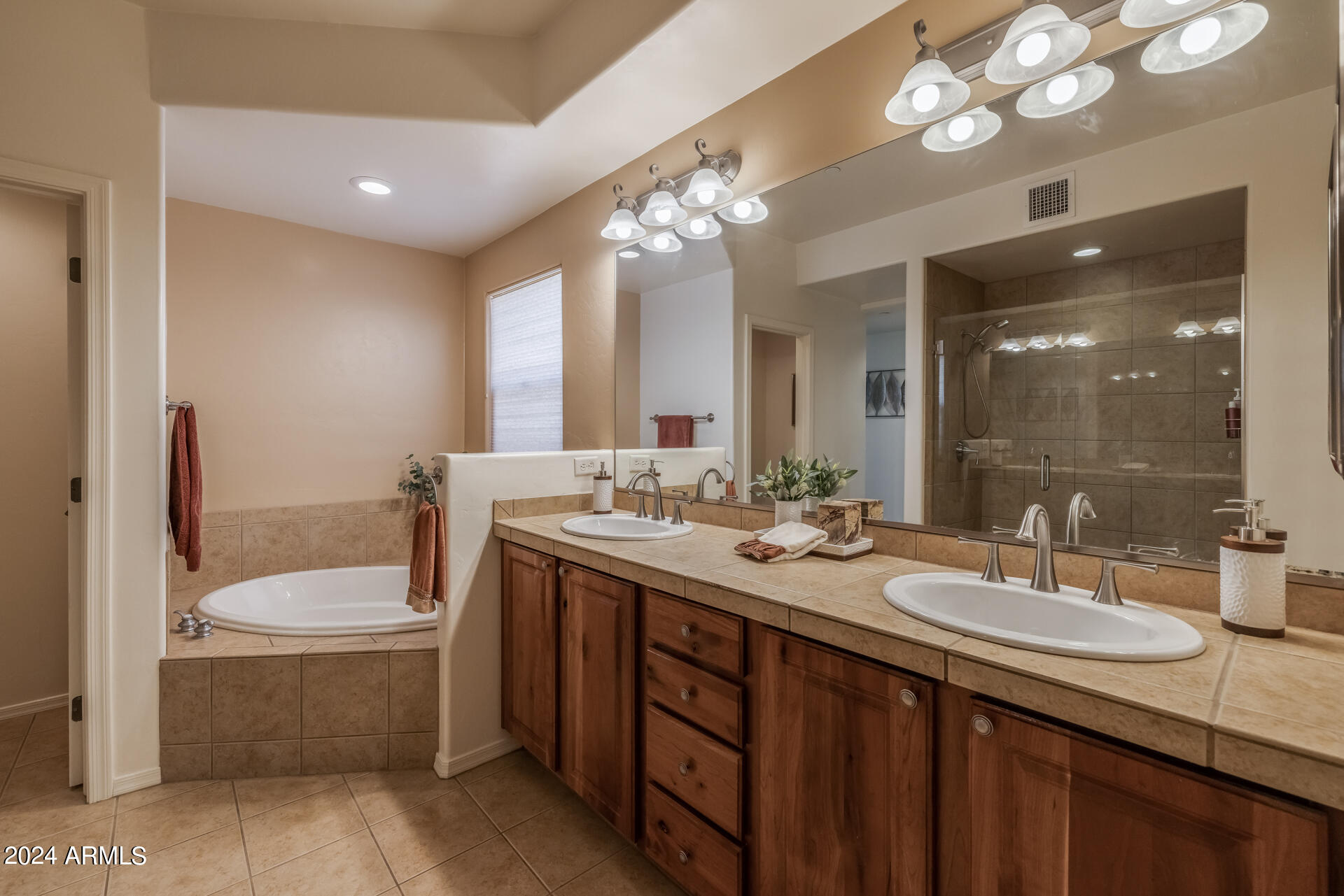 4369 West Cloud Ranch Place Marana, AZ 85658 - Photo 25 of 42 25)MASTER BATH DOWN