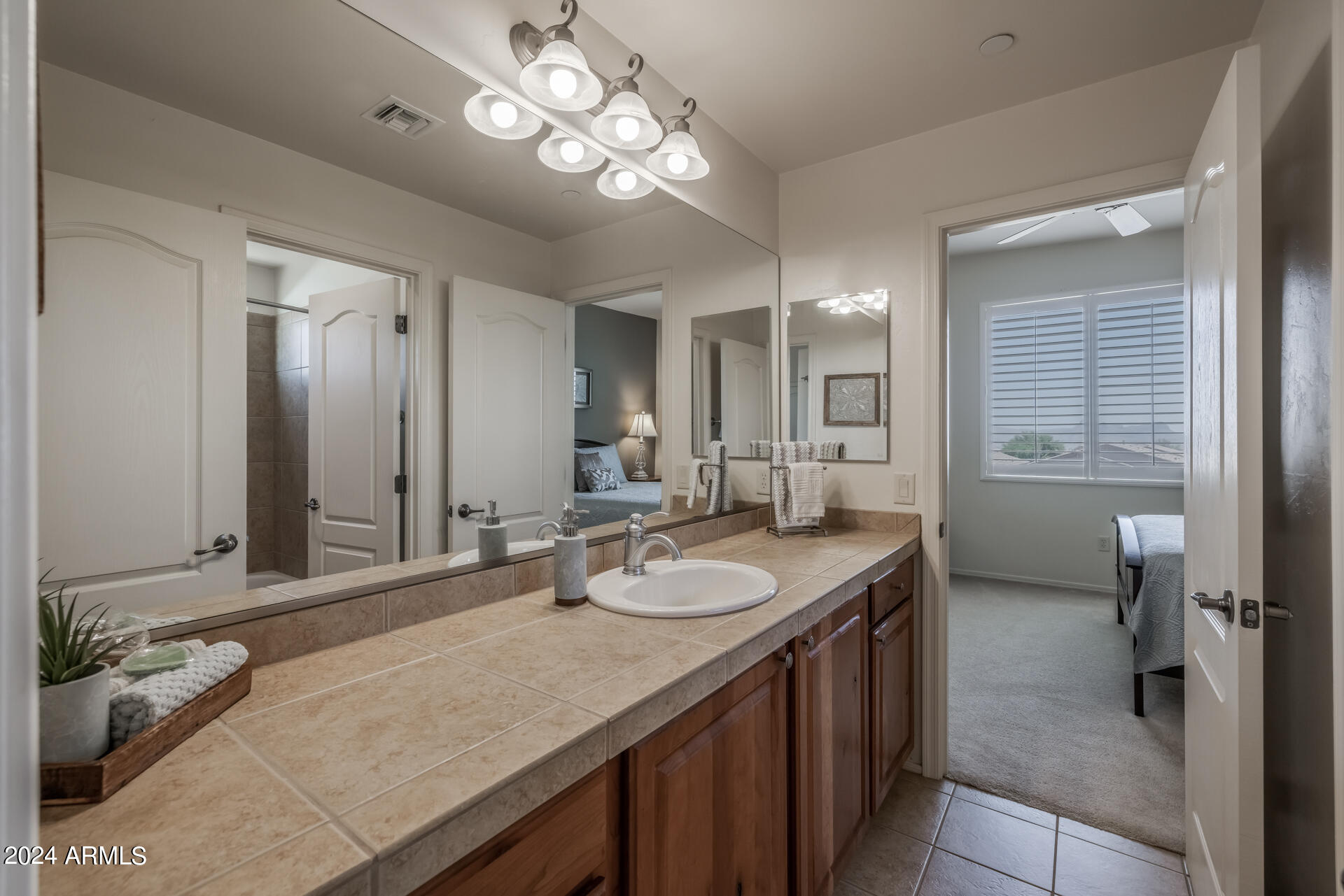 4369 West Cloud Ranch Place Marana, AZ 85658 - Photo 30 of 42 30)BATH 3 UP