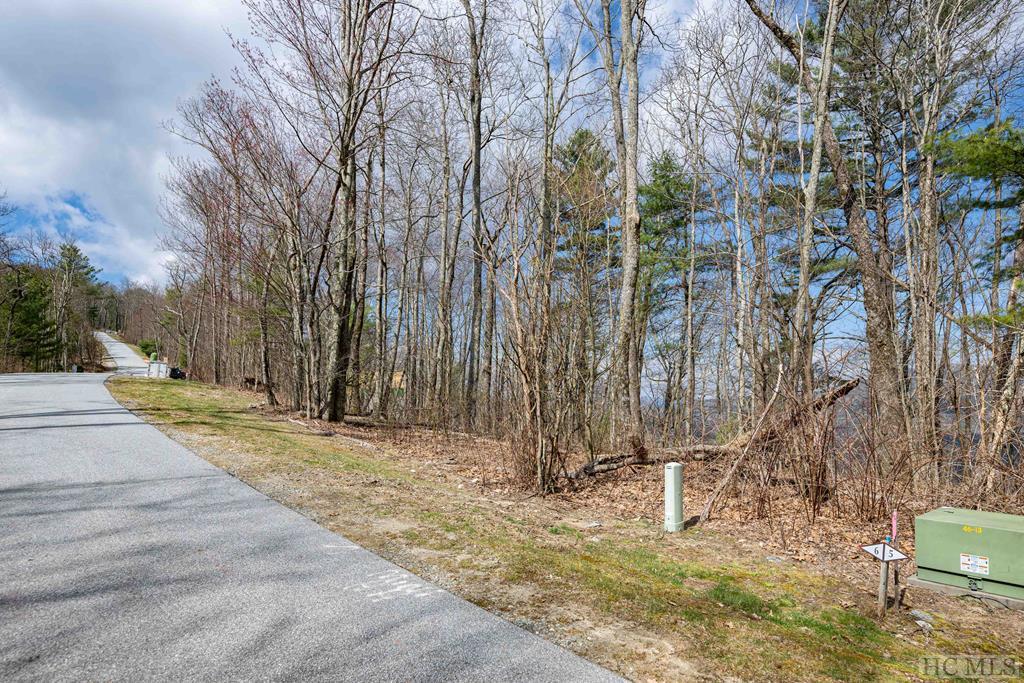 Lot 6 East Ridge Road Cashiers, NC 28717 - Photo 15 of 28 Gallery Image 15