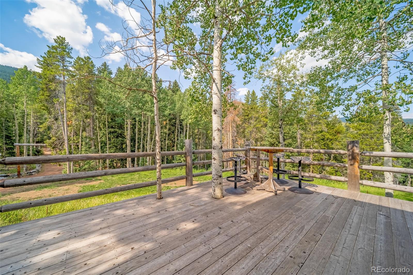 8774 Spring Drive Conifer, CO 80433 - Photo 4 of 45