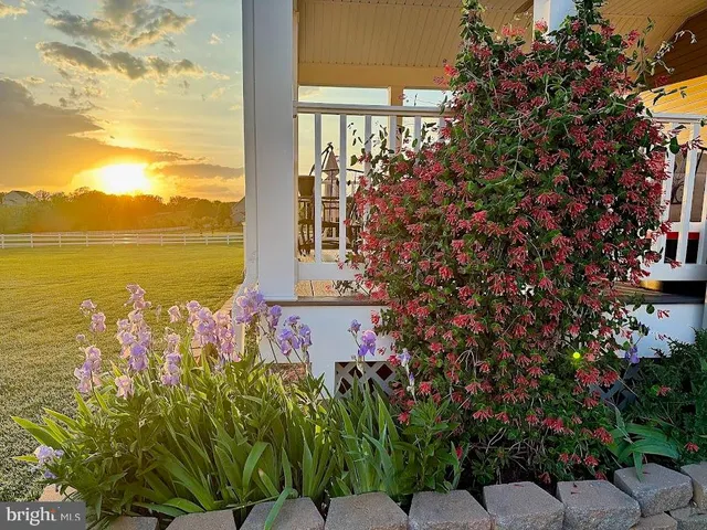 a view of a lake with a tree in a yard