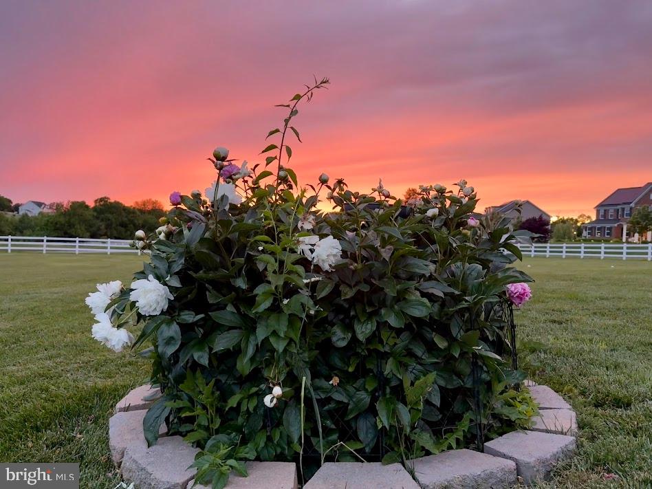 3012 Wasatch View Drive Frederick, MD 21704 - Photo 48 of 54 a view of a lake with a tree in a yard