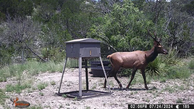 a view of a chairs and table in a backyard