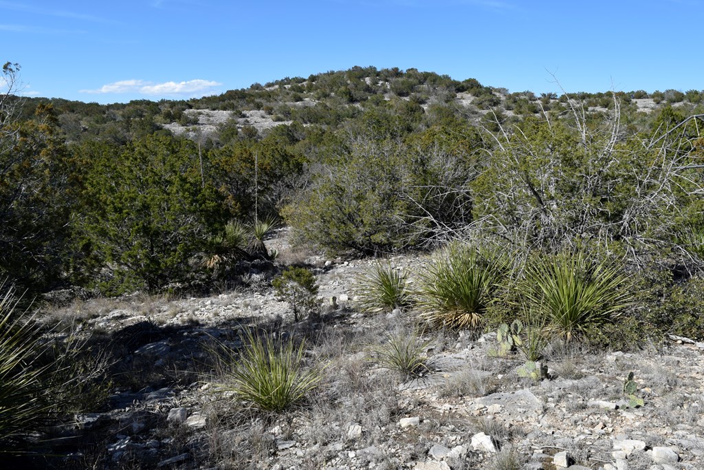 2523 Southwest St Rocksprings Tx 78880 Del Rio, TX 78840 - Photo 11 of 80 a view of a forest with mountains in the background