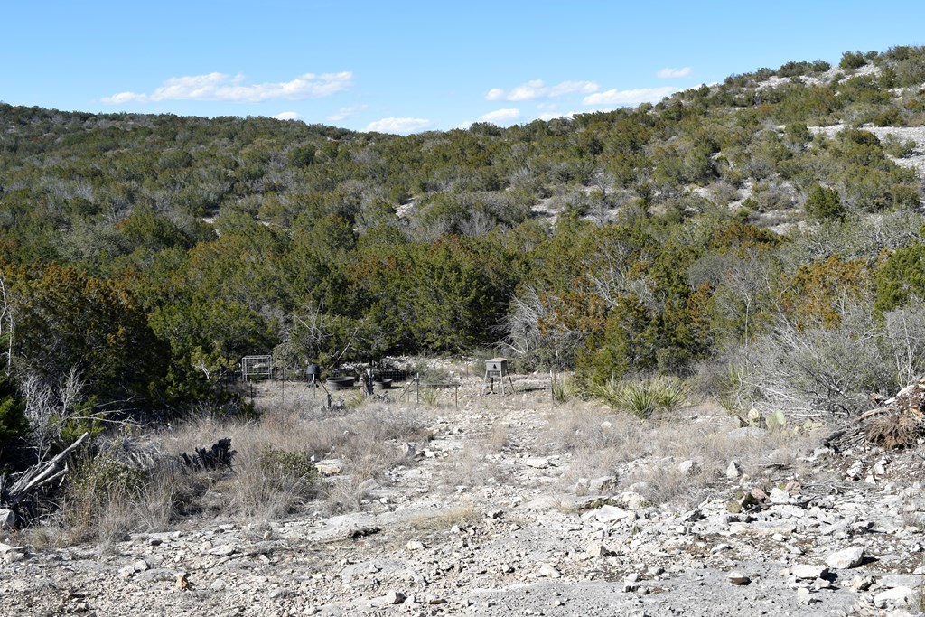 2523 Southwest St Rocksprings Tx 78880 Del Rio, TX 78840 - Photo 12 of 80 a view of a forest with mountains in the background