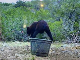 2523 Southwest St Rocksprings Tx 78880 Del Rio, TX 78840 - Photo 2 of 80 a backyard of a house with lots of green space