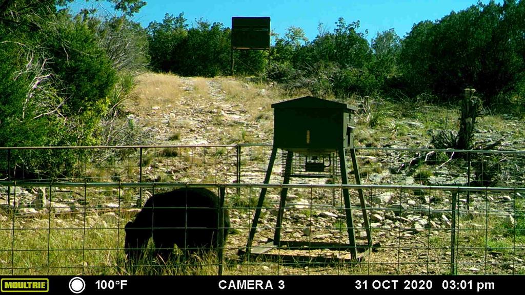 2523 Southwest St Rocksprings Tx 78880 Del Rio, TX 78840 - Photo 23 of 80 a view of outdoor space and yard