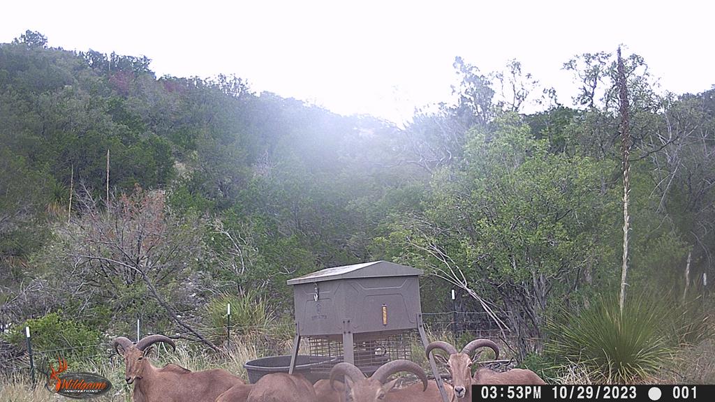 2523 Southwest St Rocksprings Tx 78880 Del Rio, TX 78840 - Photo 24 of 80 a view of a back yard