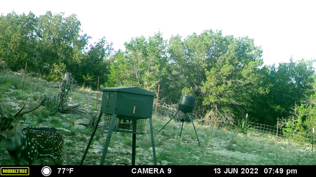 2523 Southwest St Rocksprings Tx 78880 Del Rio, TX 78840 - Photo 25 of 80 a view of a bench in a forest