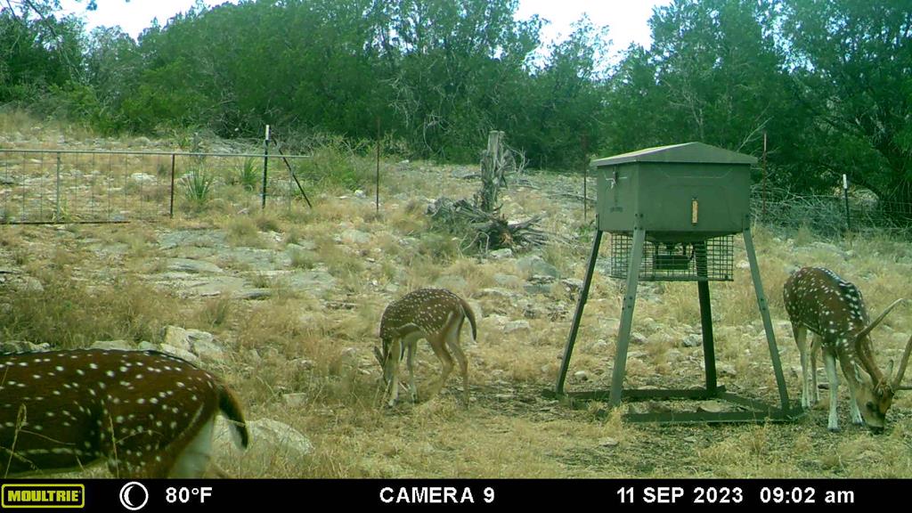 2523 Southwest St Rocksprings Tx 78880 Del Rio, TX 78840 - Photo 26 of 80 a view of outdoor space and yard