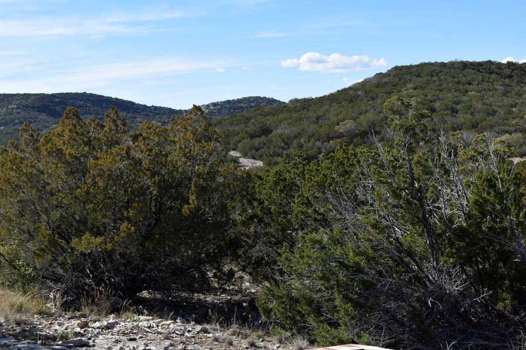 2523 Southwest St Rocksprings Tx 78880 Del Rio, TX 78840 - Photo 3 of 80 a view of a city