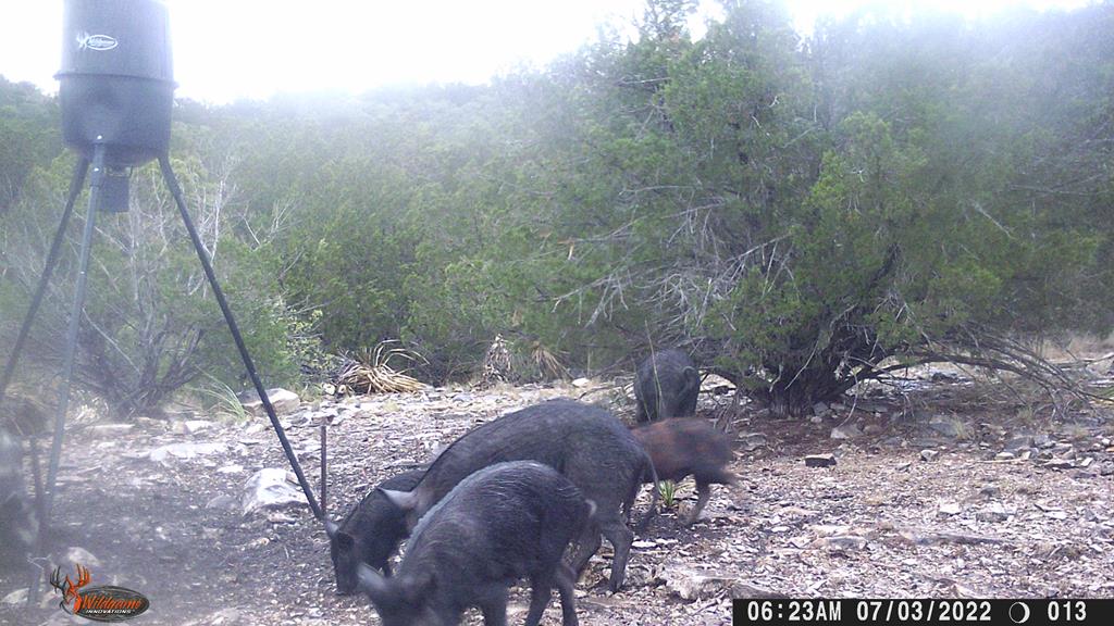 2523 Southwest St Rocksprings Tx 78880 Del Rio, TX 78840 - Photo 31 of 80 a view of an outdoor space and a yard