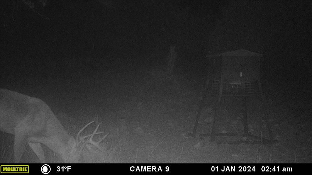 2523 Southwest St Rocksprings Tx 78880 Del Rio, TX 78840 - Photo 34 of 80 a view of an outdoor space