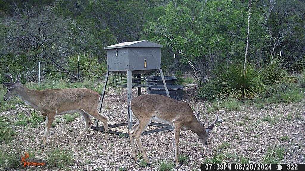 2523 Southwest St Rocksprings Tx 78880 Del Rio, TX 78840 - Photo 37 of 80