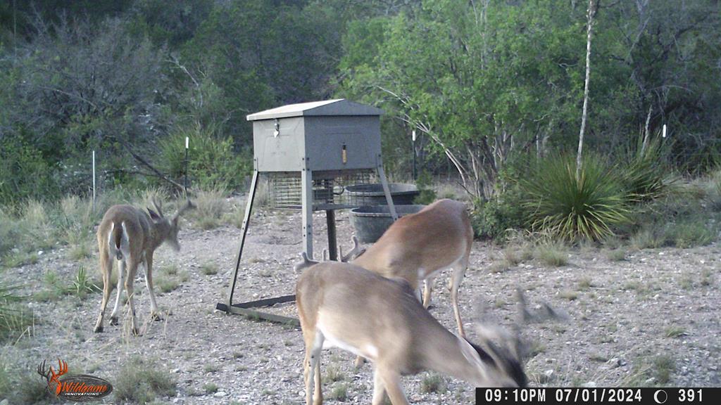 2523 Southwest St Rocksprings Tx 78880 Del Rio, TX 78840 - Photo 38 of 80 a view of a chairs and table in the backyard