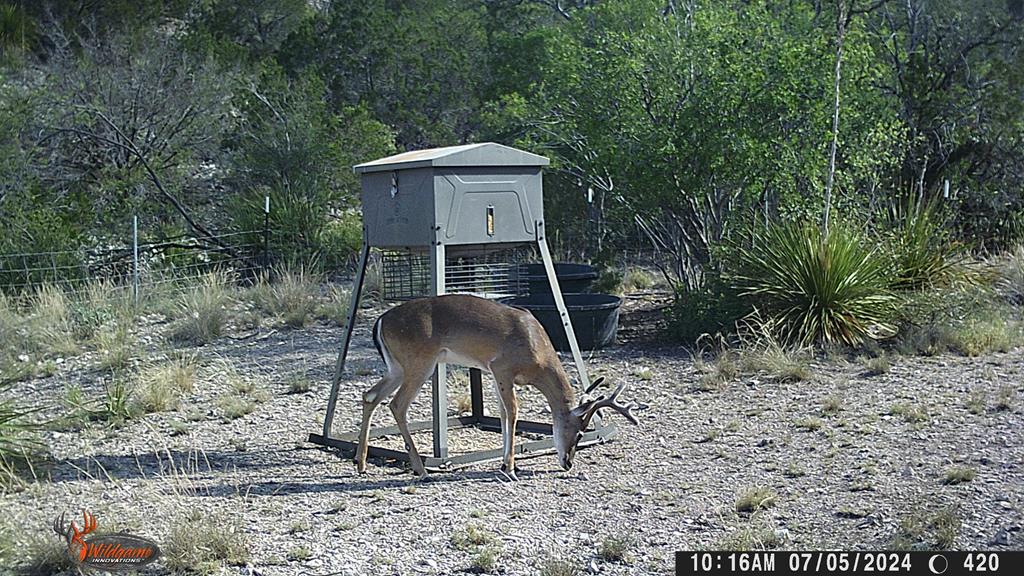 2523 Southwest St Rocksprings Tx 78880 Del Rio, TX 78840 - Photo 40 of 80 a front view of a house with garden