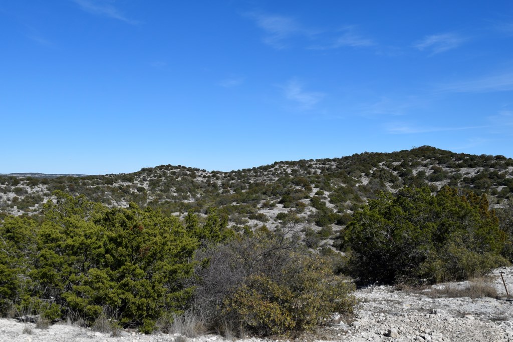2523 Southwest St Rocksprings Tx 78880 Del Rio, TX 78840 - Photo 4 of 80 Property views