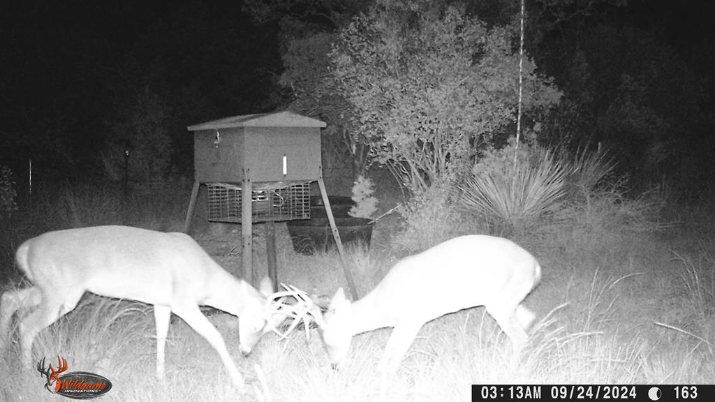 2523 Southwest St Rocksprings Tx 78880 Del Rio, TX 78840 - Photo 41 of 80