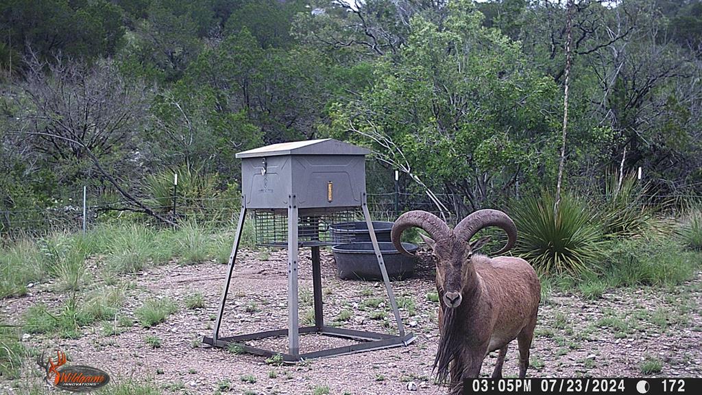 2523 Southwest St Rocksprings Tx 78880 Del Rio, TX 78840 - Photo 42 of 80 a backyard of a house with lots of green space