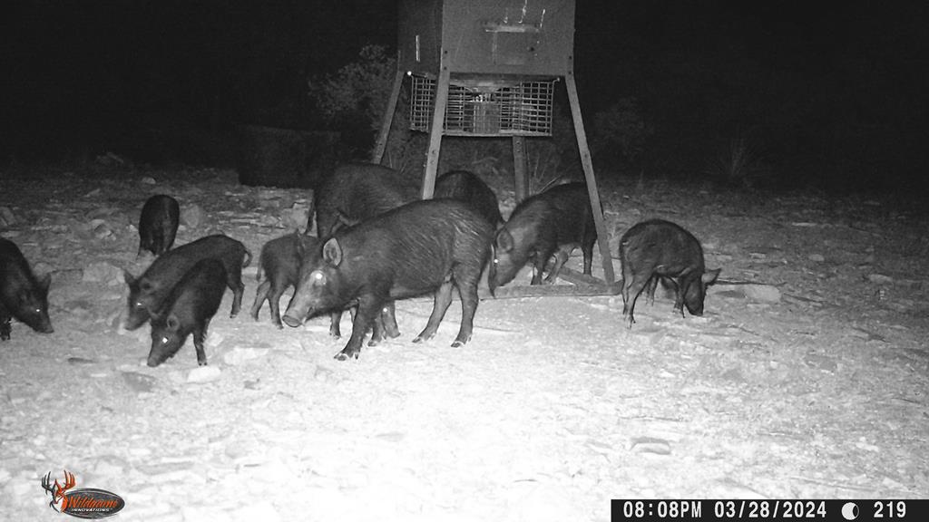 2523 Southwest St Rocksprings Tx 78880 Del Rio, TX 78840 - Photo 43 of 80