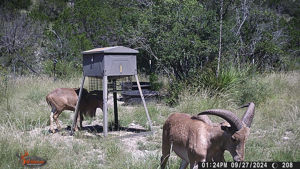 2523 Southwest St Rocksprings Tx 78880 Del Rio, TX 78840 - Photo 44 of 80 a view of a back yard