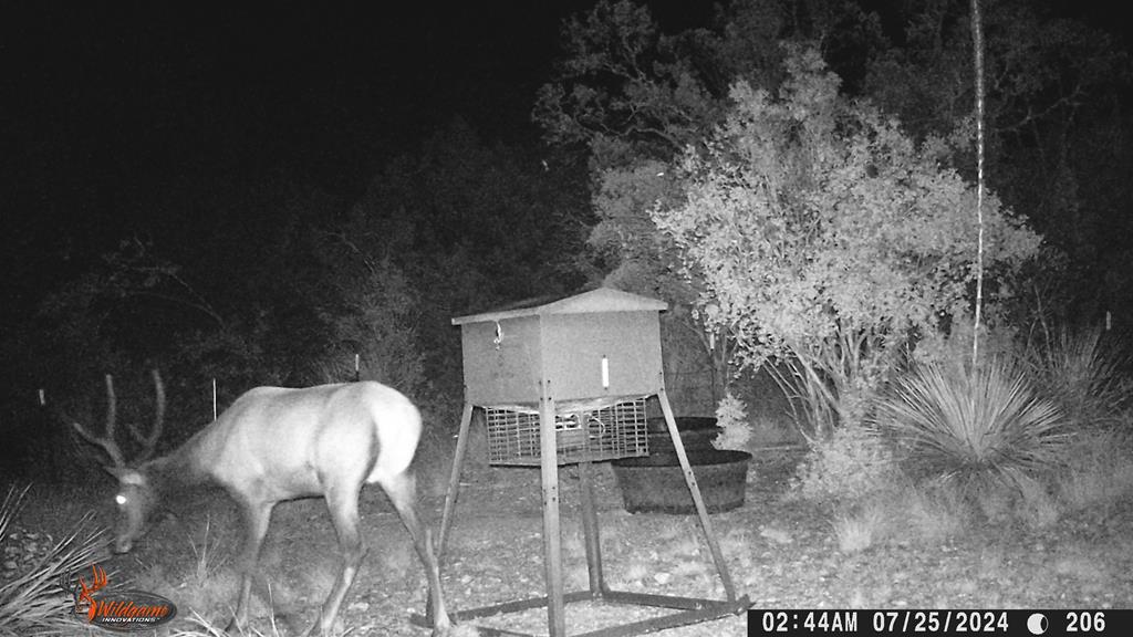 2523 Southwest St Rocksprings Tx 78880 Del Rio, TX 78840 - Photo 45 of 80 a workspace with furniture