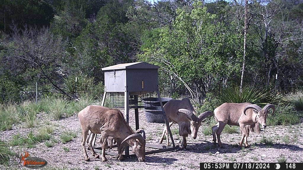 2523 Southwest St Rocksprings Tx 78880 Del Rio, TX 78840 - Photo 46 of 80 a view of a patio with table and chairs and potted plants