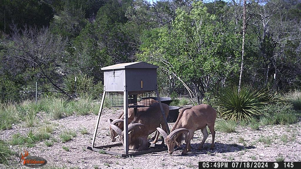 2523 Southwest St Rocksprings Tx 78880 Del Rio, TX 78840 - Photo 48 of 80 a view of backyard with outdoor seating and trees