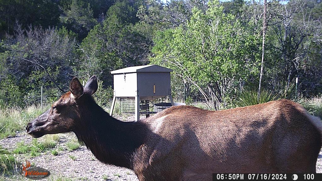 2523 Southwest St Rocksprings Tx 78880 Del Rio, TX 78840 - Photo 49 of 80 a view of outdoor space and yard