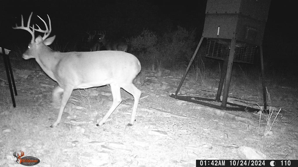 2523 Southwest St Rocksprings Tx 78880 Del Rio, TX 78840 - Photo 50 of 80