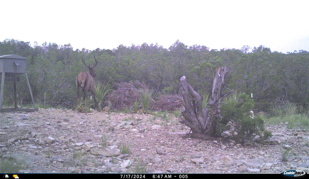 2523 Southwest St Rocksprings Tx 78880 Del Rio, TX 78840 - Photo 52 of 80 a view of a backyard