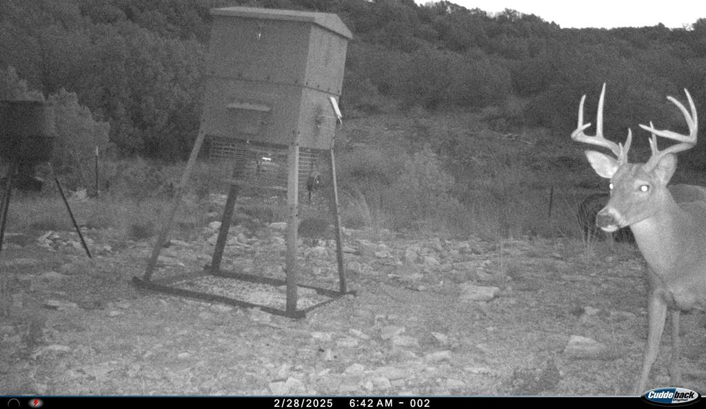 2523 Southwest St Rocksprings Tx 78880 Del Rio, TX 78840 - Photo 53 of 80