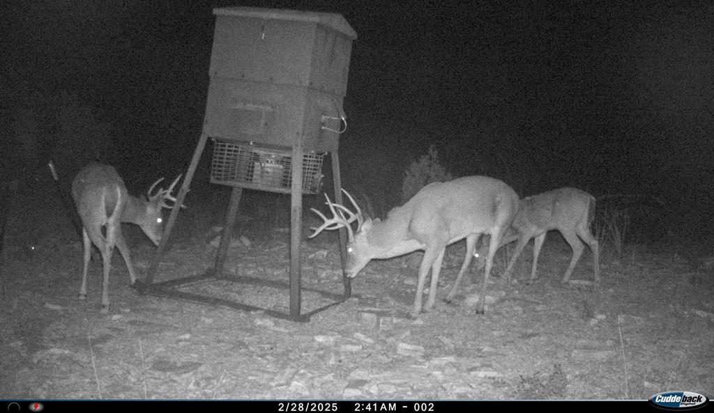 2523 Southwest St Rocksprings Tx 78880 Del Rio, TX 78840 - Photo 54 of 80 a view of an chairs and table in the patio
