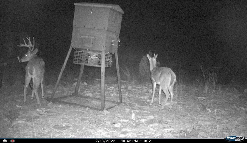 2523 Southwest St Rocksprings Tx 78880 Del Rio, TX 78840 - Photo 55 of 80