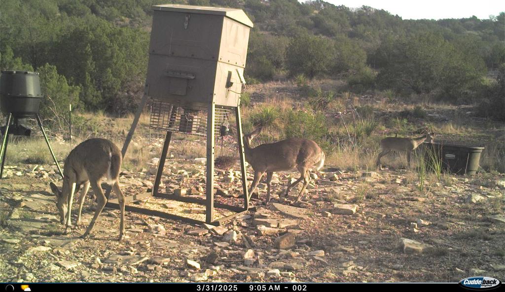 2523 Southwest St Rocksprings Tx 78880 Del Rio, TX 78840 - Photo 57 of 80 a backyard of a house with table and chairs