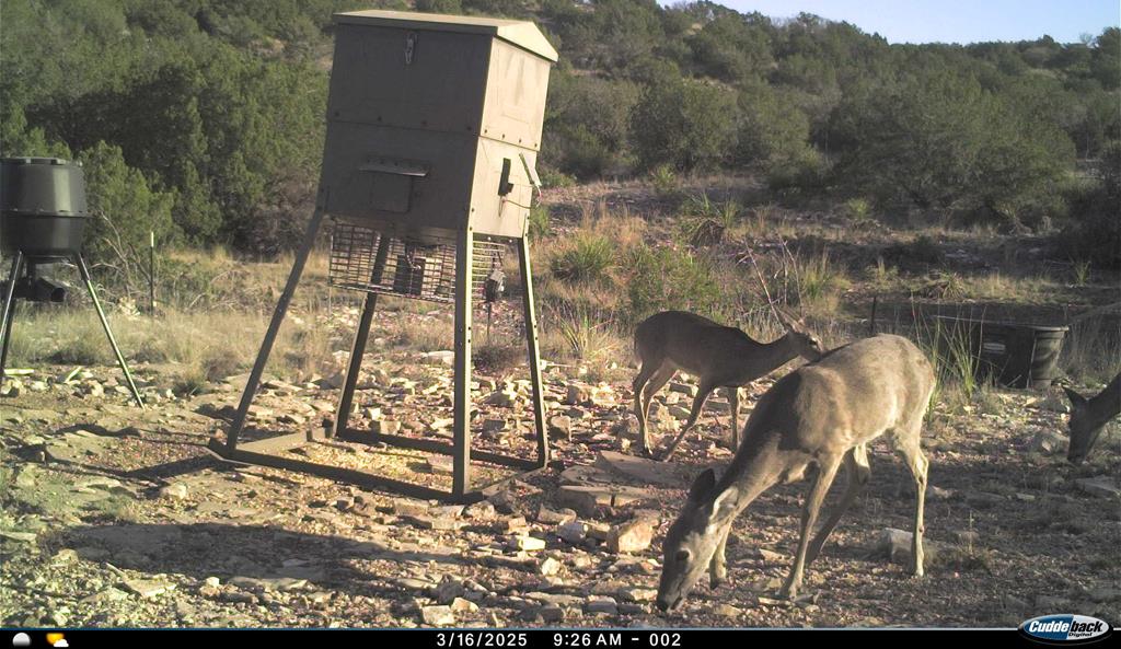 2523 Southwest St Rocksprings Tx 78880 Del Rio, TX 78840 - Photo 63 of 80