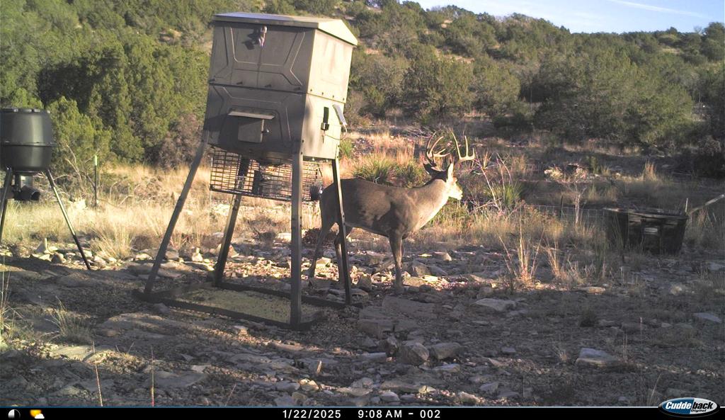 2523 Southwest St Rocksprings Tx 78880 Del Rio, TX 78840 - Photo 64 of 80 a view of a house with a yard