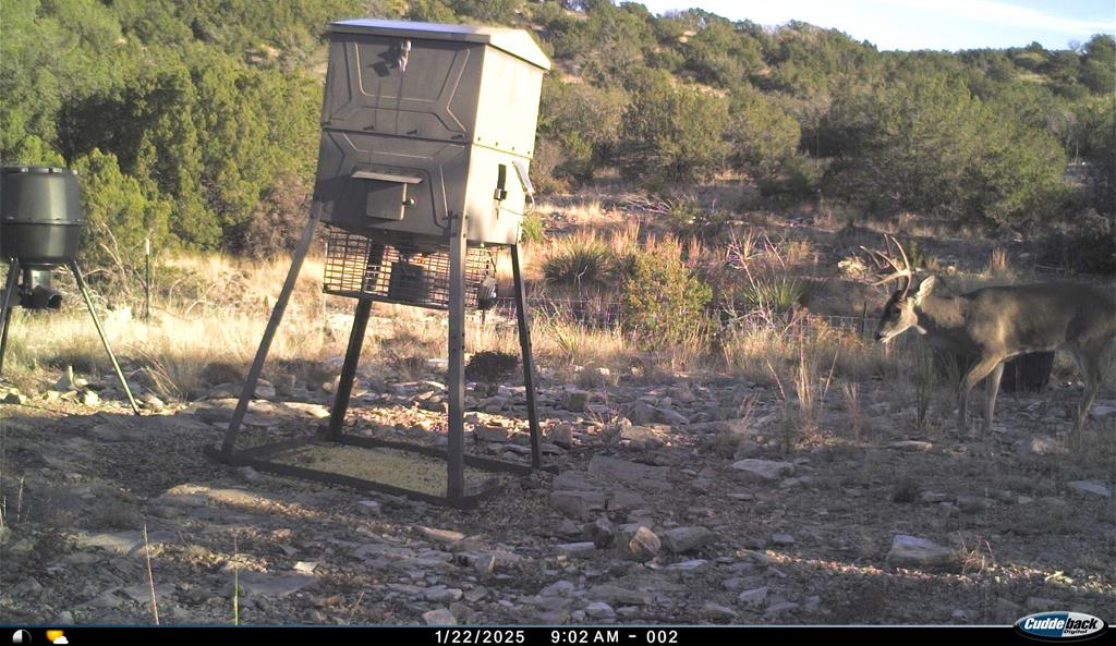 2523 Southwest St Rocksprings Tx 78880 Del Rio, TX 78840 - Photo 65 of 80 a view of a yard