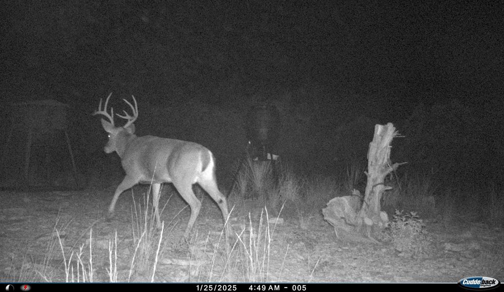 2523 Southwest St Rocksprings Tx 78880 Del Rio, TX 78840 - Photo 66 of 80 a view of a room with wooden floor